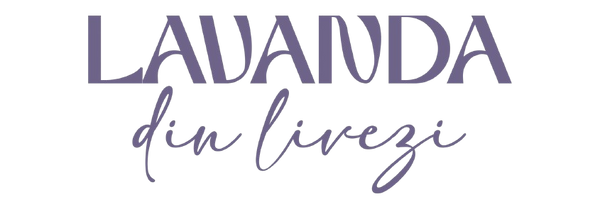 SC BUCATARIADINLIVEZI S.R.L.